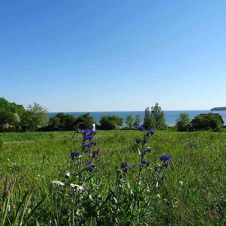 Appartement Werft & Meer Lauterbach  Exterior foto